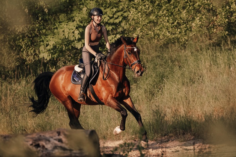 Pferdefotografie von Jenny Marx – Bild 3