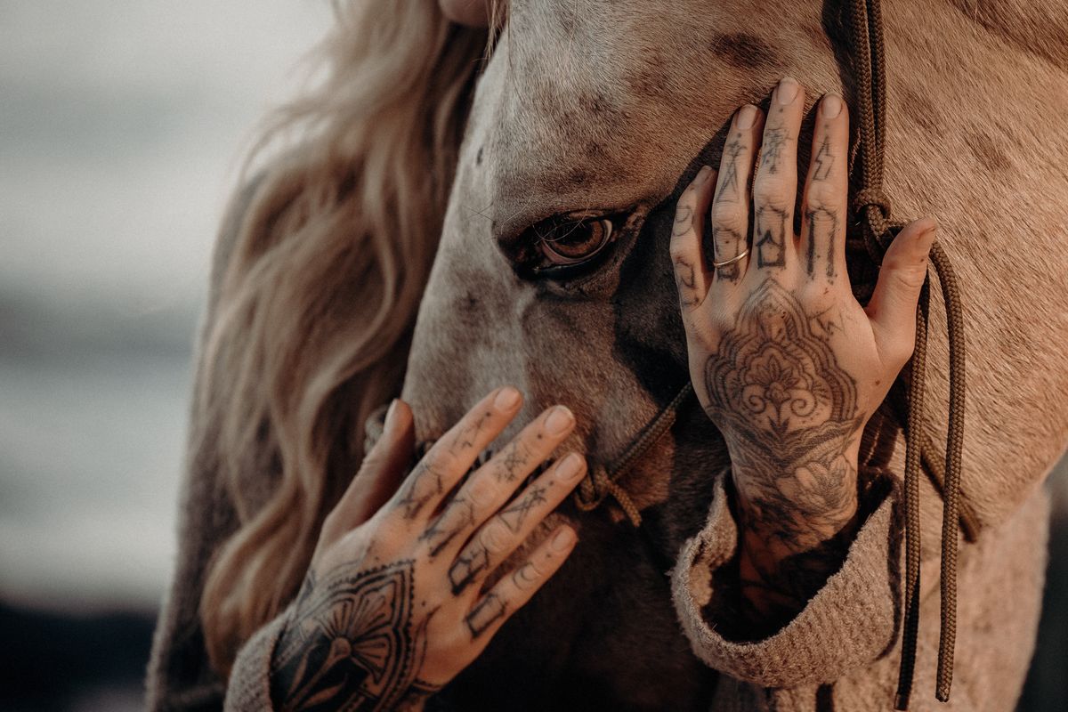 Pferdefotografie von Jenny Marx – Bild 7