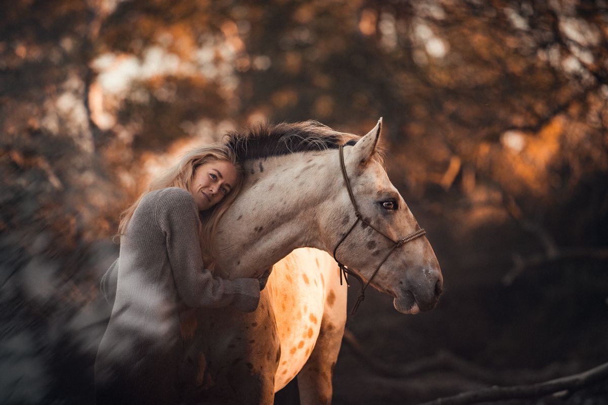 Pferdefotografie von Jenny Marx – Bild 9