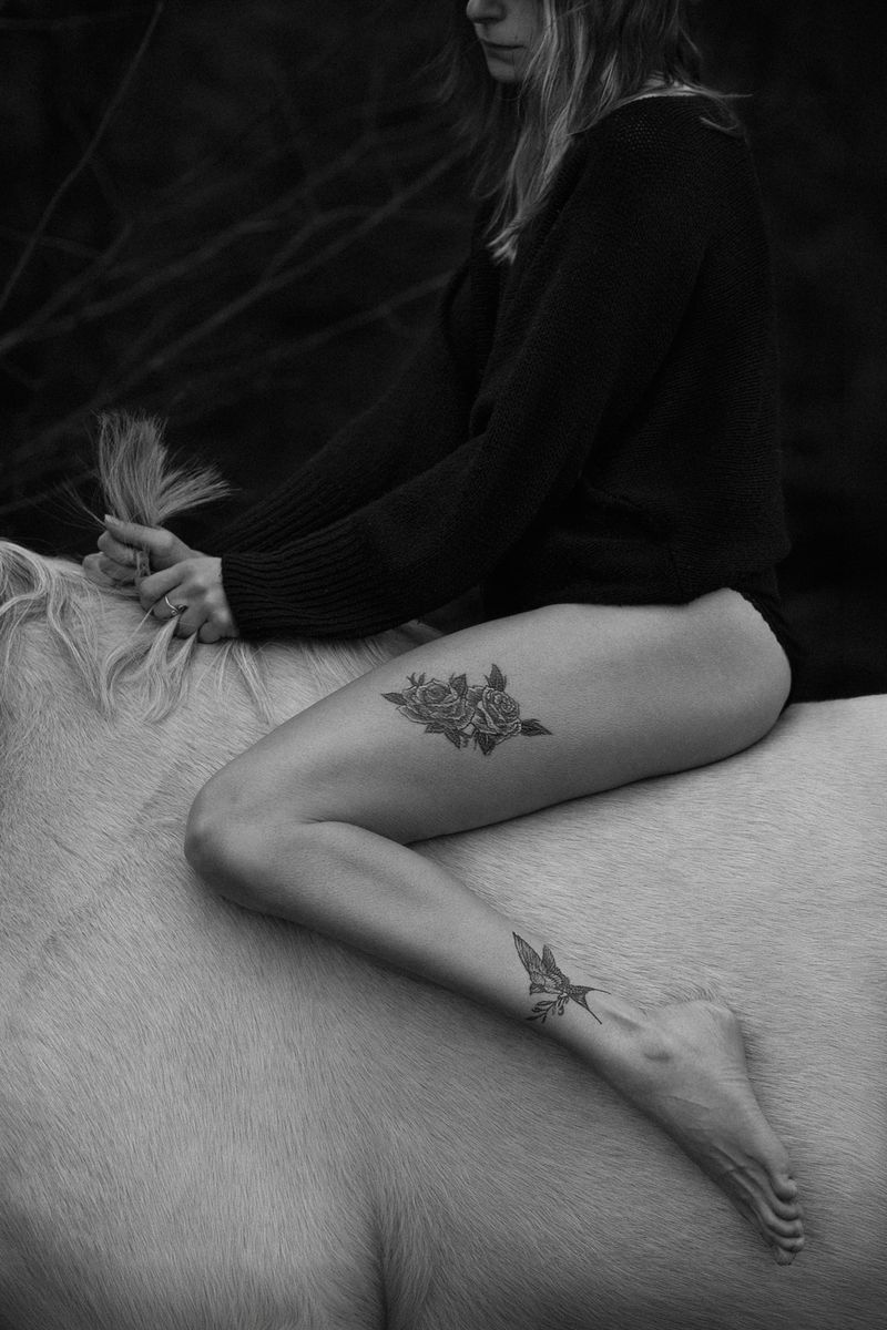 Pferdefotografie von Jenny Marx – Bild 33