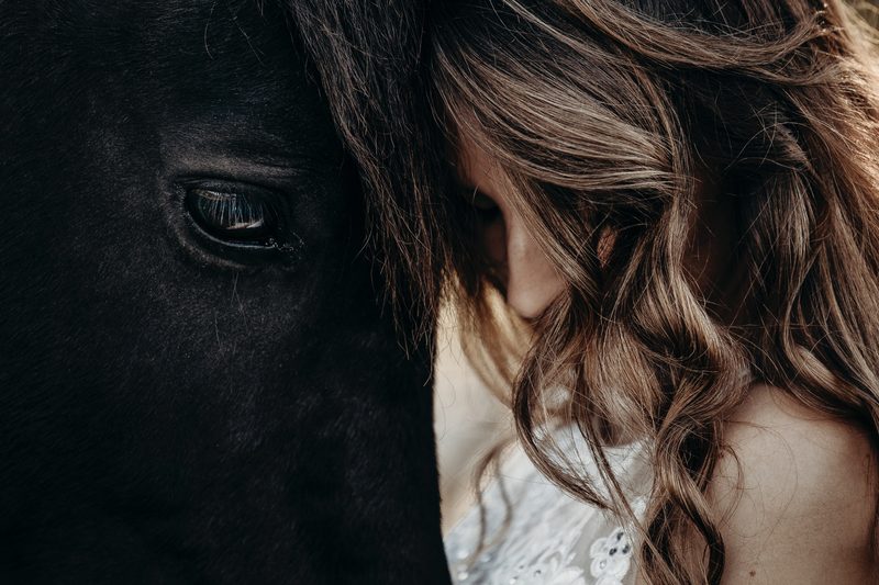 Pferdefotografie von Jenny Marx – Bild 23
