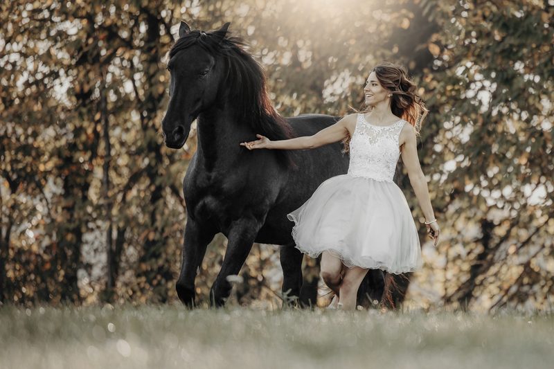 Pferdefotografie von Jenny Marx – Bild 24