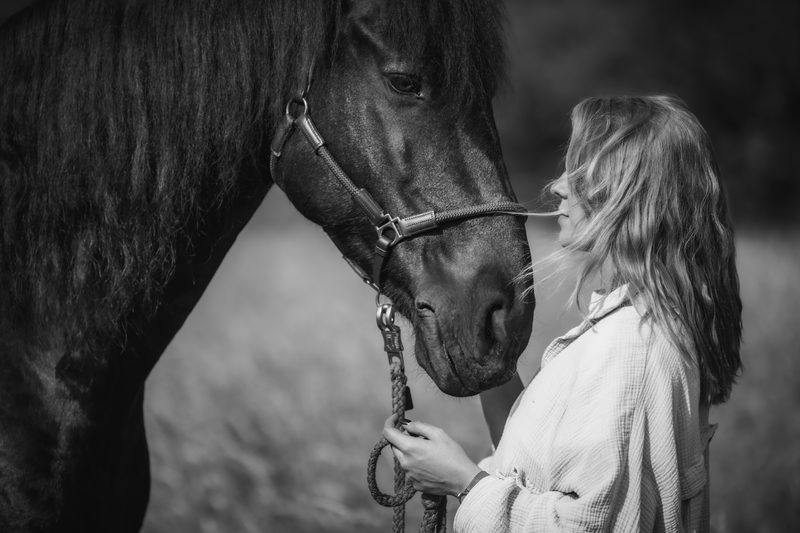 Pferdefotografie von Jenny Marx – Bild 31