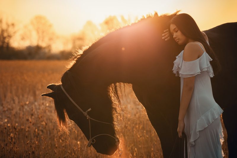 Pferdefotografie von Jenny Marx – Bild 33