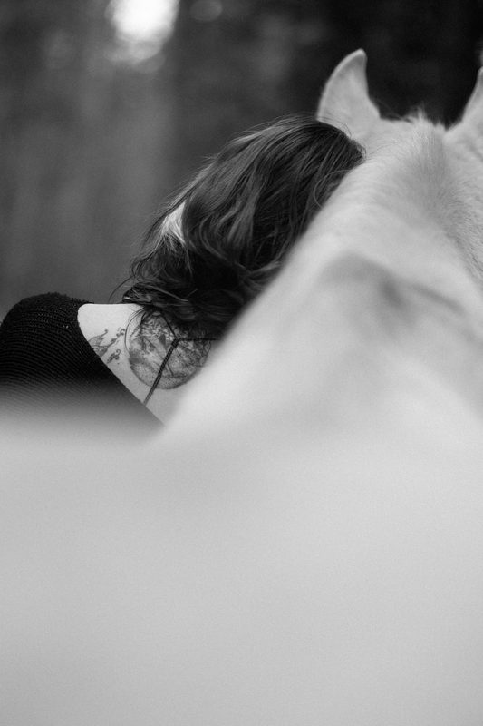 Pferdefotografie von Jenny Marx – Bild 41